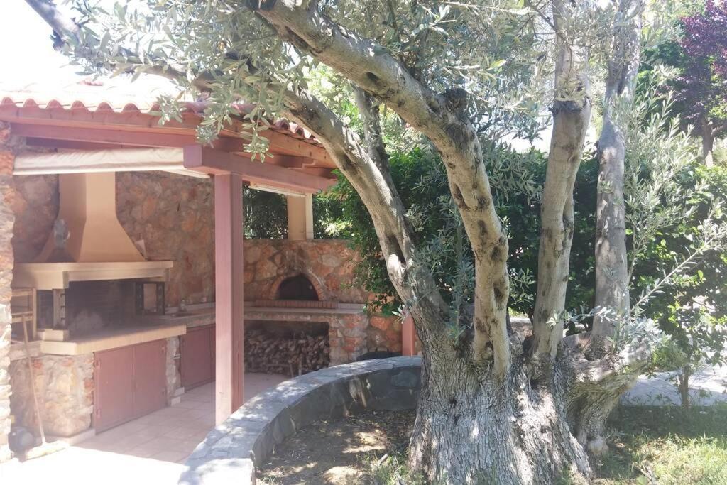 Seaside Villa Andronikos Amarynthos Exterior foto
