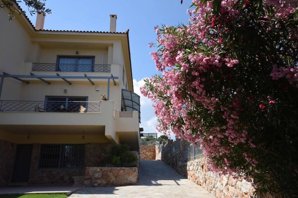 Seaside Villa Andronikos Amarynthos Exterior foto