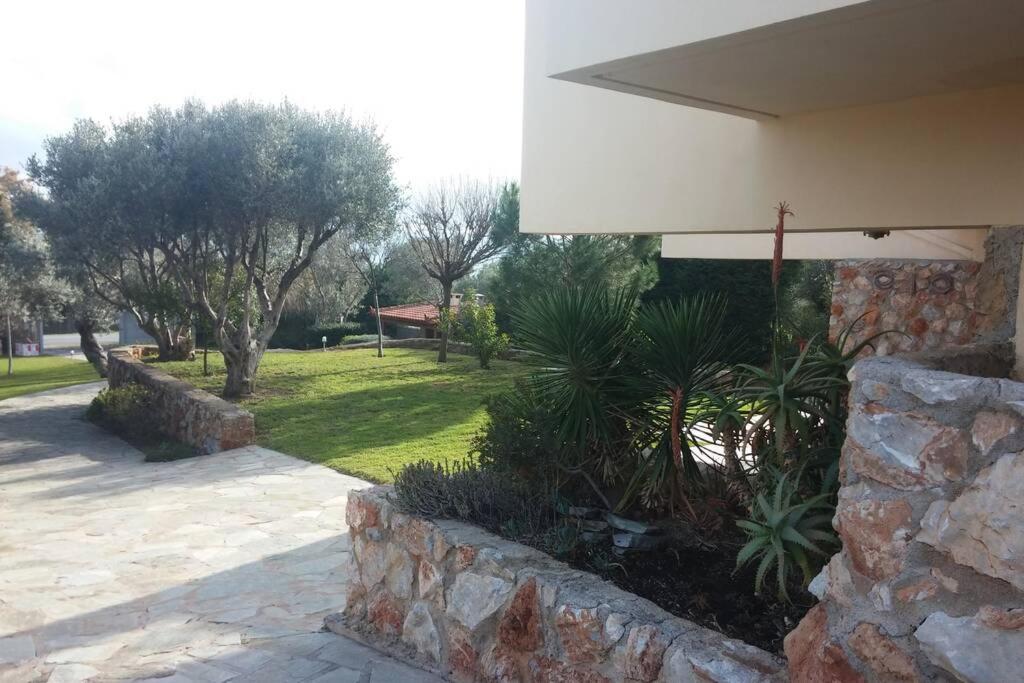 Seaside Villa Andronikos Amarynthos Exterior foto