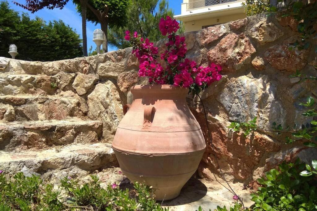Seaside Villa Andronikos Amarynthos Exterior foto