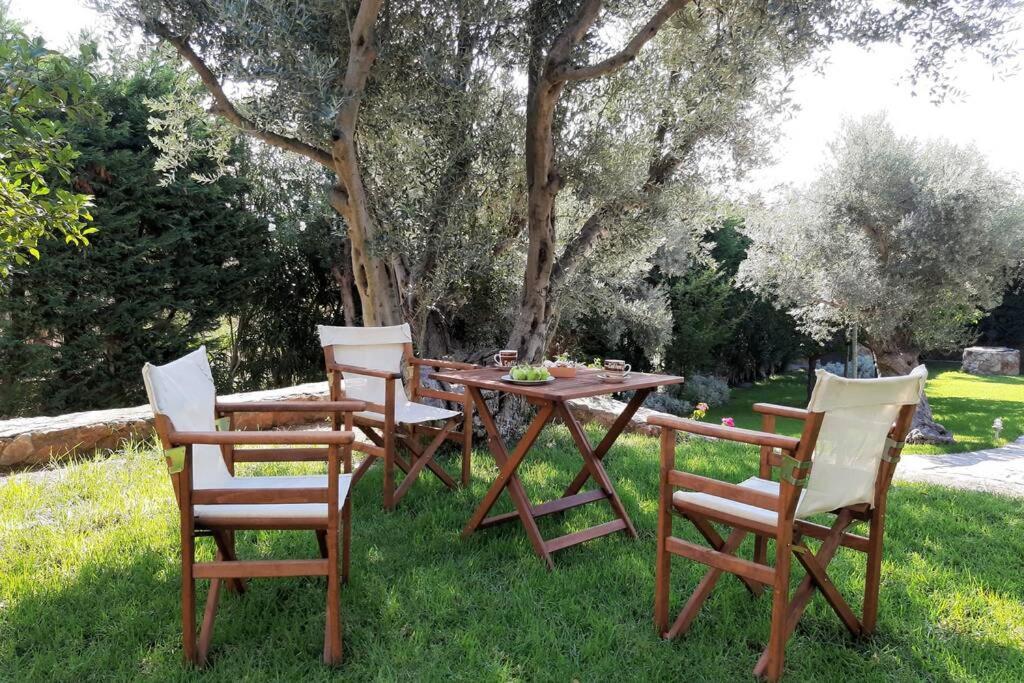 Seaside Villa Andronikos Amarynthos Exterior foto