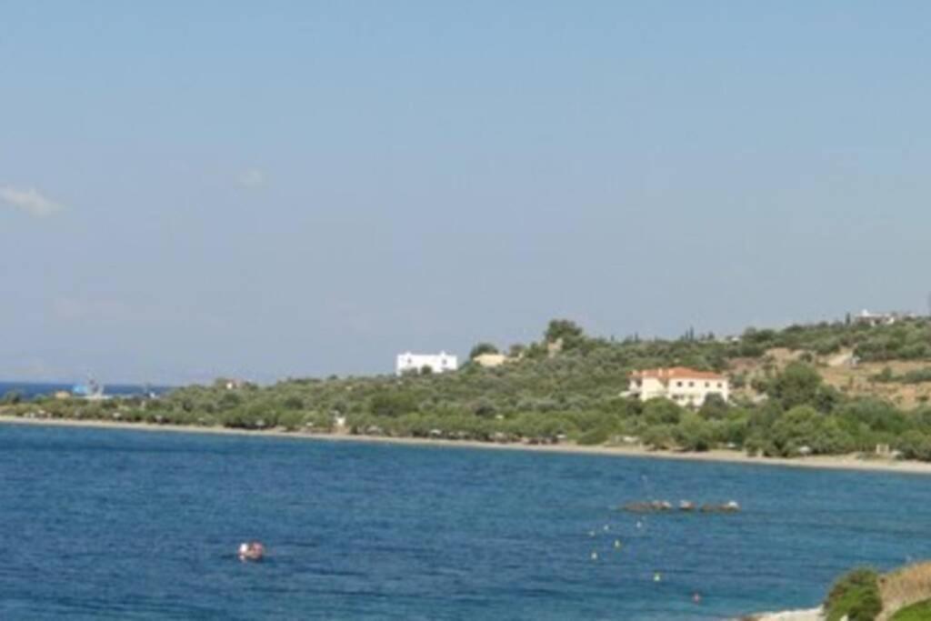 Seaside Villa Andronikos Amarynthos Exterior foto