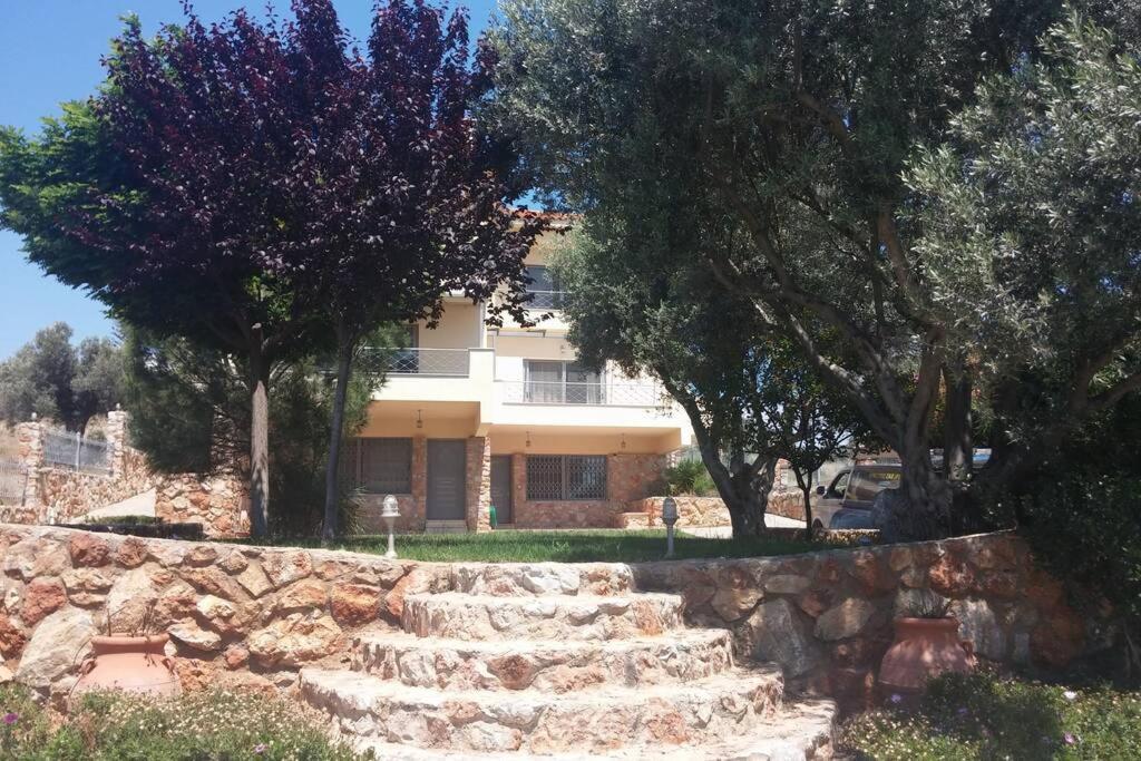 Seaside Villa Andronikos Amarynthos Exterior foto
