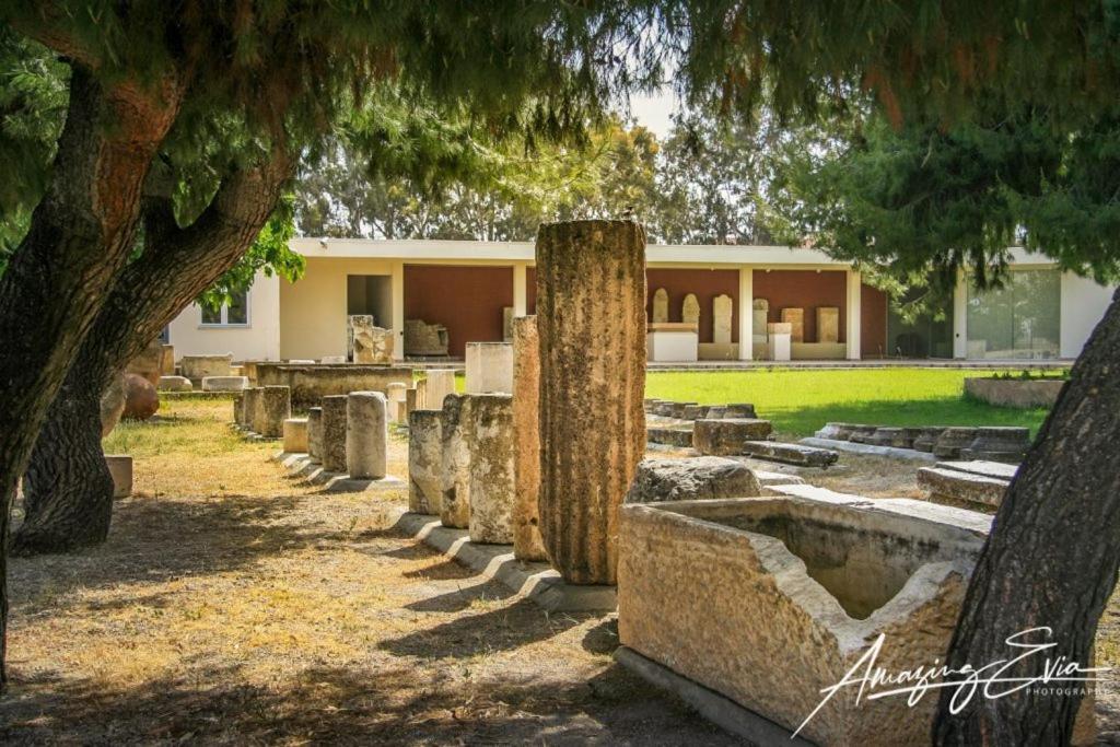 Seaside Villa Andronikos Amarynthos Exterior foto