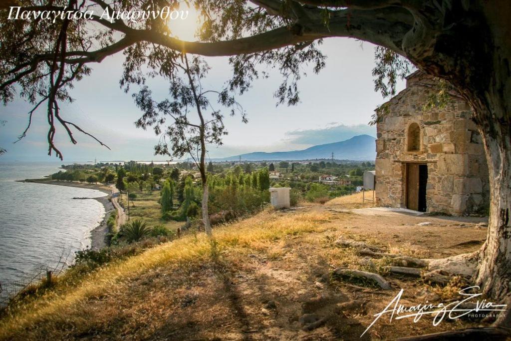 Seaside Villa Andronikos Amarynthos Exterior foto